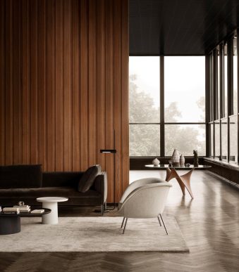 Molteni1767_desatcopia